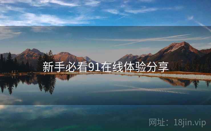 新手必看91在线体验分享