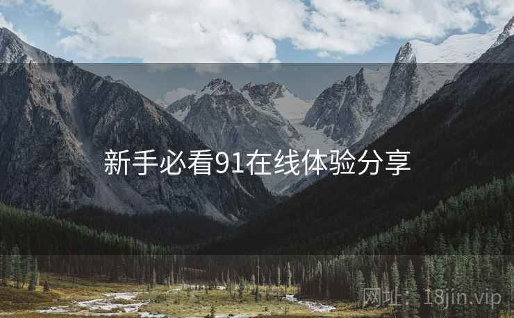新手必看91在线体验分享