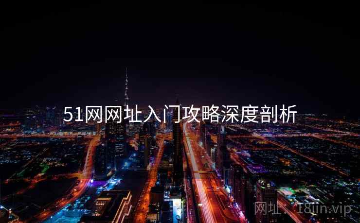 51网网址入门攻略深度剖析