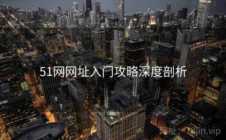 51网网址入门攻略深度剖析