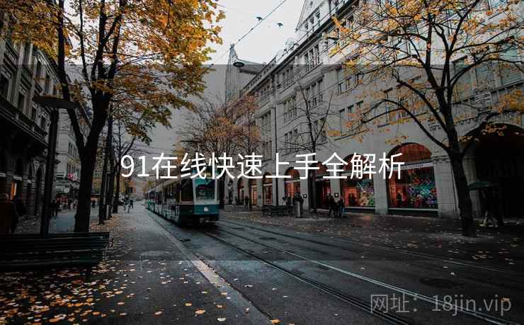 91在线快速上手全解析