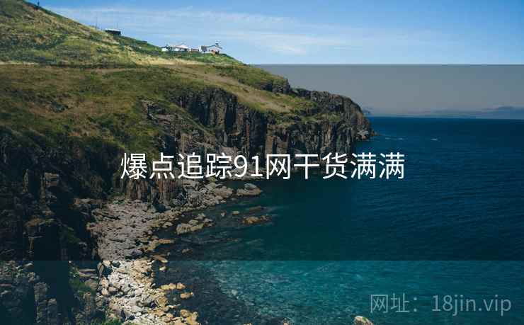 爆点追踪91网干货满满