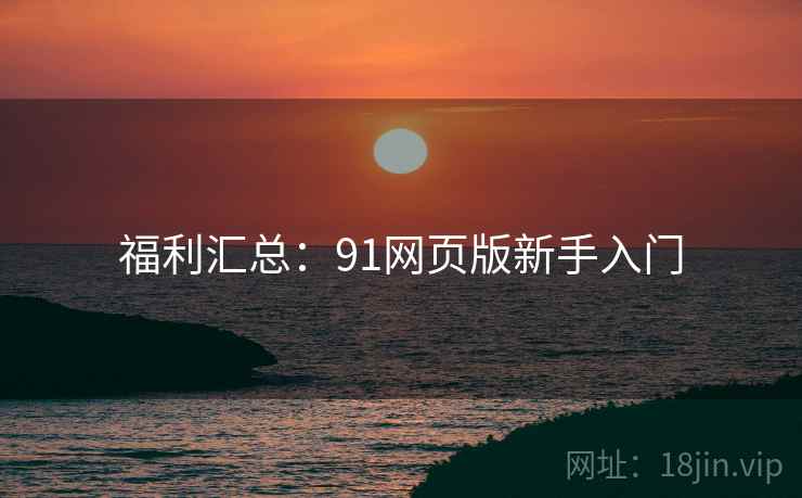 福利汇总：91网页版新手入门