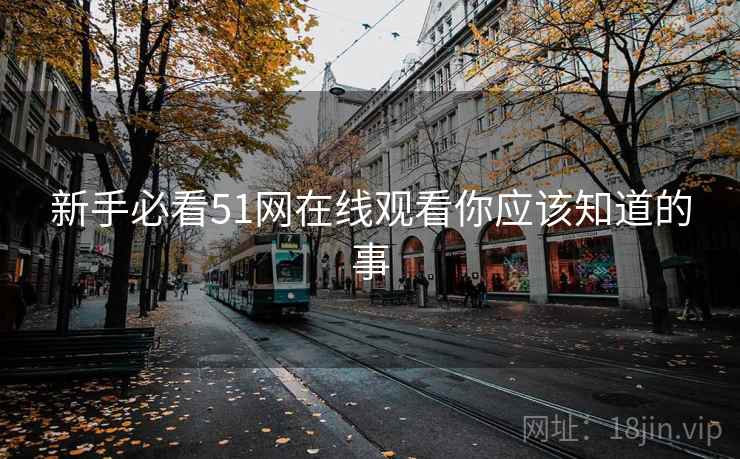新手必看51网在线观看你应该知道的事