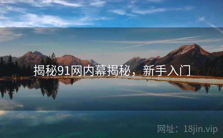 揭秘91网内幕揭秘，新手入门