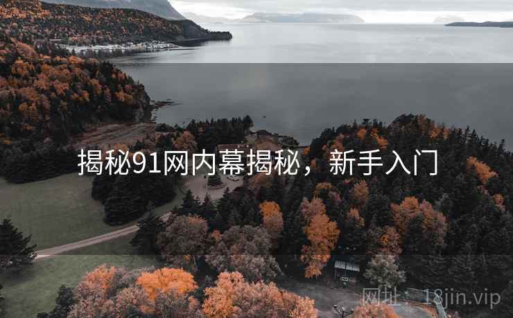 揭秘91网内幕揭秘，新手入门