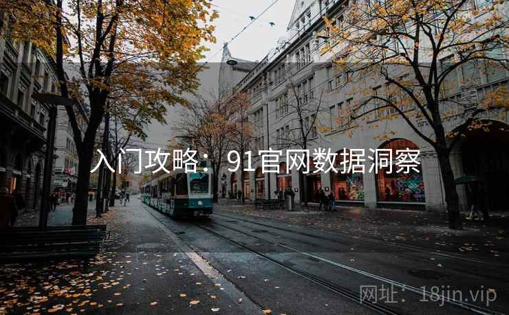 入门攻略：91官网数据洞察