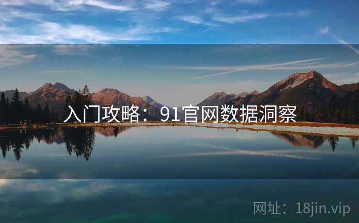 入门攻略：91官网数据洞察