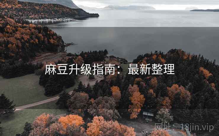 麻豆升级指南：最新整理