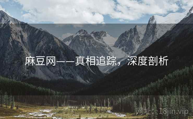 麻豆网——真相追踪，深度剖析