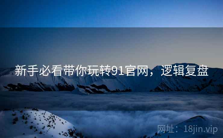 新手必看带你玩转91官网，逻辑复盘