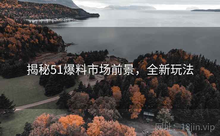 揭秘51爆料市场前景，全新玩法